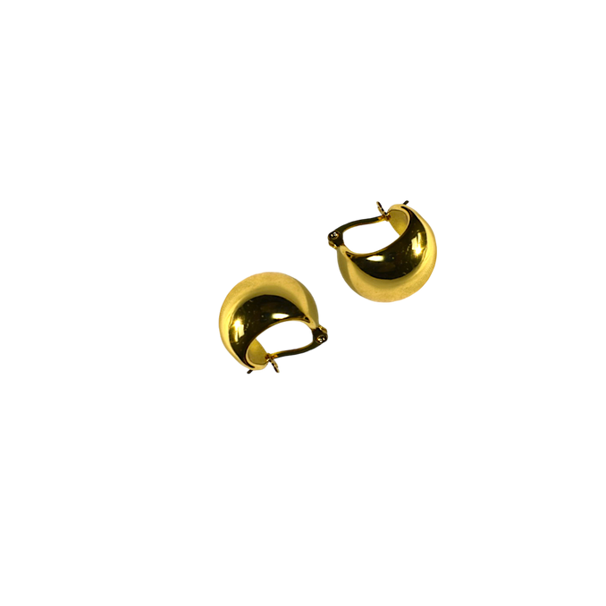 The Gold Crescent Hoop Earrings